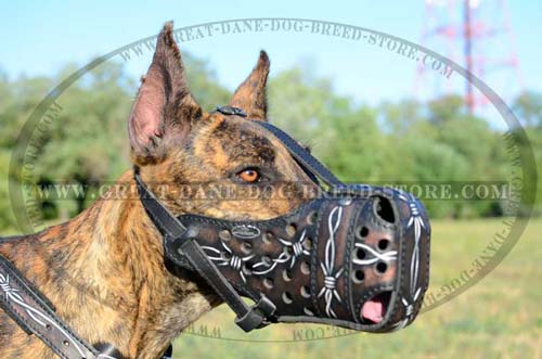 Painted Barbed Wire Leather Muzzle