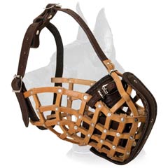 Dane Basket Leather Muzzle