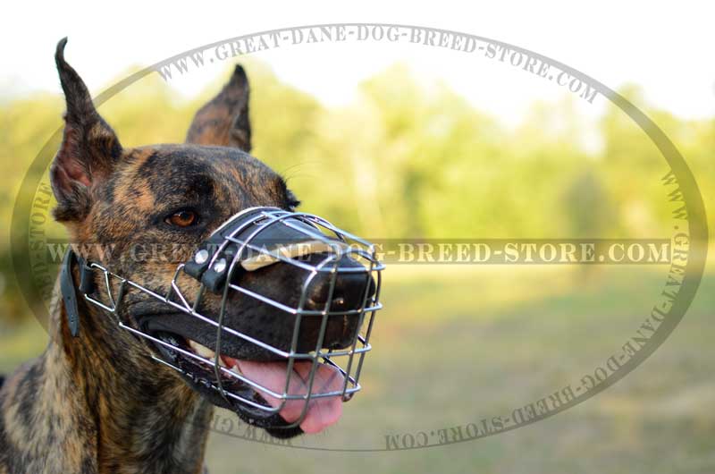wire muzzle for shih tzu large wire muzzle for large breeds uk breeds picture wire muzzle for shih tzu large wire muzzle for large breeds uk breeds picture