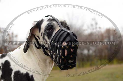 Non-toxic Great Dane Dog Muzzle