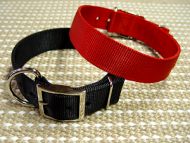 Nylon Dog Collar- 2 Ply Nylon :Nickel Plated : Extra Wide for Great dane dog 