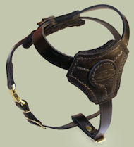 Small Leather Dog Harness for Great Dane puppy
