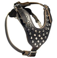 Great Dane Studded Leather Dog Harness with Pyramids