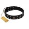 "Black Jack" Stylish Handmade FDT Artisan Black Leather Great Dane Collar