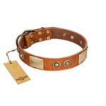 "Perfect Blend" FDT Artisan Tan Leather Great Dane Collar 1 1/2 inch (40 mm) wide