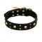 FDT Artisan 'Heavy Metal' Leather Great Dane Collar with Skulls and Half-Balls 1 1/2 inch (40 mm)