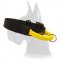 Nylon Collar with Handle and Quick Release Buckle for Great Dane
