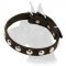 Studded Leather 3/4 inch (19 mm) Wide Great Dane