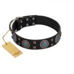 "Boundless Blue" FDT Artisan Black Leather Great Dane Collar with Chrome Plated Brooches and Square Studs