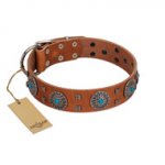 "Blue Sands" FDT Artisan Tan Leather Great Dane Collar with Silver-like Studs and Round Conchos with Stones