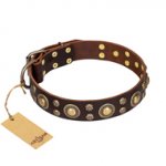 'Flower Melody' FDT Artisan Brown Leather Dog Collar with Mixed Studs for Great Dane Walking