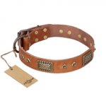 "Catchy Look" FDT Artisan Decorated Tan Leather Great Dane Collar