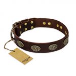 "Chocolate kiss" FDT Artisan Leather Great Dane Collar with Old Bronze Look Oval Plates