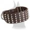 3 inch Studded Leather Dog Collar for Great Dane
