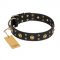 "Cosmic Glow" FDT Artisan Black Leather Great Dane Collar with Brass-Plated Studs