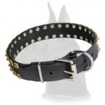 New leather Great Dane collar with Exclusive "Caterpillar" Design