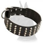 Extra Wide Leather Collar with pyramids for Great Dane