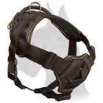 Innovative Nylon Harness with breast plate for Great Dane
