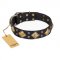 "Fancy-Schmancy" FDT Artisan Studded Leather Great Dane Collar
