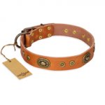 "Dandy Pet" FDT Artisan Handcrafted Tan Leather Great Dane Collar