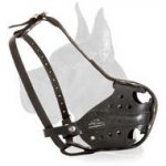 Agitation Training Great Dane Muzzle