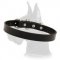Classy Leather Collar for Great Dane