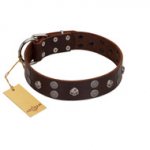"Skull Valley" Handcrafted FDT Artisan Brown Leather Great Dane Collar with Skulls
