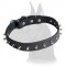 Leather Spiked Great Dane Collar