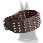 3 Inch Leather Spiked Collar for Great Dane