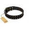 "Star Way" FDT Artisan Black Leather Great Dane Collar with Bronze-like and Silver-like Star Studs