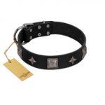 "Black Cavalier" Handmade FDT Artisan Black Leather Great Dane Collar with Silver-Like Stars and Large Plates