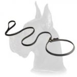Leather Slip Lead 6 FT on 1/2'' for Great Dane