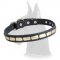 Trendy Leather Collar with Brass Plates for Great Dane