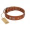 "Egyptian Gifts" Handmade FDT Artisan Tan Leather Great Dane Collar with Chrome-plated Pyramids