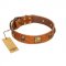 "Knights Templar" FDT Artisan Tan Leather Great Dane Collar with Skulls and Crossbones Combined with Squares