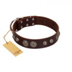 "Choco Brownie" FDT Artisan Brown Leather Great Dane Collar Adorned with Silver-Like Conchos