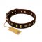 "Golden Elegance" FDT Artisan Brown Leather Great Dane Collar with Old Bronze-like Decorations