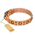 'Sophisticated Glamor' FDT Artisan Great Dane Tan Leather Dog Collar with Fancy Old-Bronze Plated Decorations