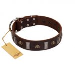 "War Chief" FDT Artisan Genuine Brown Leather Great Dane Collar with Skulls and Plates