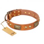"Saucy Nature" FDT Artisan Tan Leather Great Dane Collar with Old Bronze Look Plates and Skulls