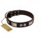"Baller Status" FDT Artisan Brown Leather Great Dane Collar Adorned with a Set of Chrome Plated Studs and Plates