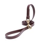Brown Waterproof Great Dane Leash Made of Biothane