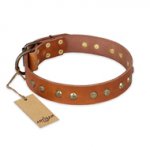 "Spring Flavor" FDT Artisan Adorned Leather Great Dane Collar with Old Bronze-Plated Engraved Studs