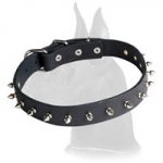 Leather Spiked Great Dane Collar