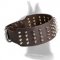 3 Inch Leather Spiked Collar for Great Dane