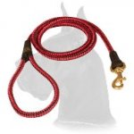 Cord Nylon Dog Leash for Great Dane