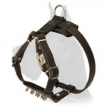 Leather Puppy Harness with Spiked Delicate Chest for Great Dane