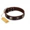 "Nut-Brown Finery" Embellished FDT Artisan Brown Leather Great Dane Collar with Chrome Plated Crossbones and Plates