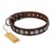 "Step and Sparkle" FDT Artisan Glamorous Studded Brown Leather Great Dane Collar