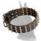 2 inch wide Leather Spiked Dog Collar for Great Dane